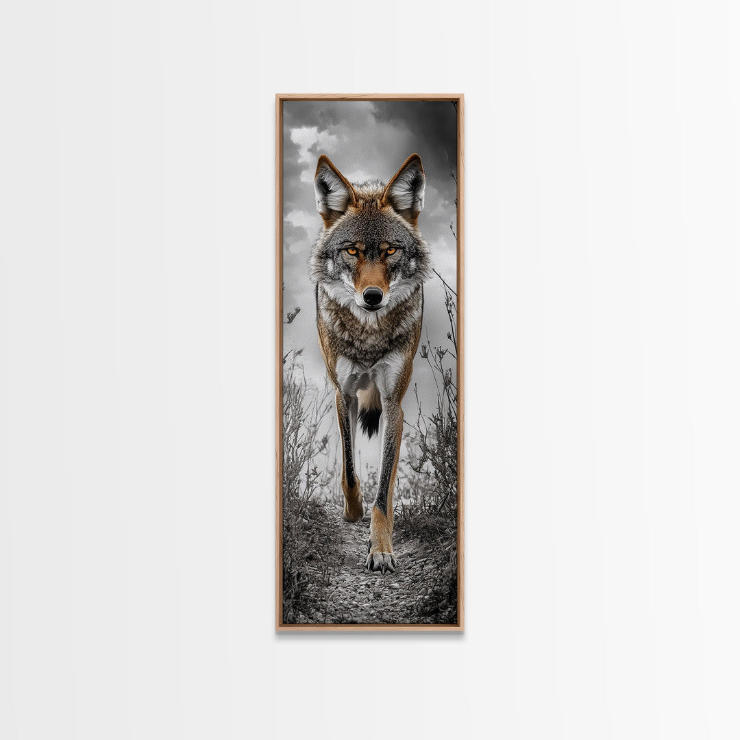 Intense Coyote Stare Framed Canvas Print | Wildlife Wall Art | Rustic Decor | Moody Art | Southwest Wall Art | Above Sofa Art | Gift Idea