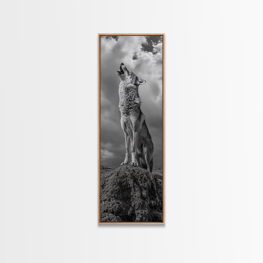 Howling Coyote, Framed Canvas Print, southwest wall art, rustic wall art, wildlife photography, desert landscape art, cowboy art, boho home decor
