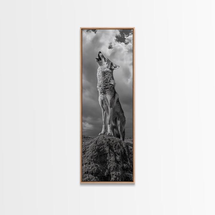 Howling Coyote, Framed Canvas Print, southwest wall art, rustic wall art, wildlife photography, desert landscape art, cowboy art, boho home decor