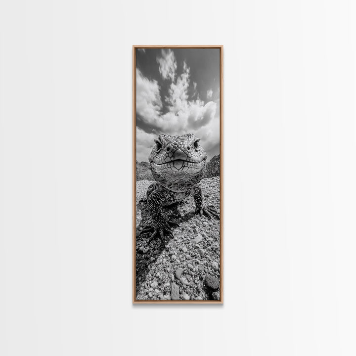 Lizard Close-Up, Framed Canvas Print, wildlife photography, rustic wall art, southwest wall art, desert animal art, black and white home decor