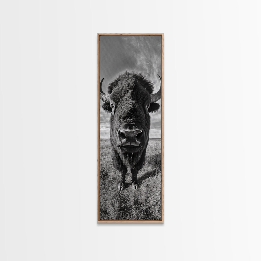 Majestic Bison Close-Up, Framed Canvas Print, rustic wall art, cowboy home décor, wildlife photography, farmhouse art, black and white photography