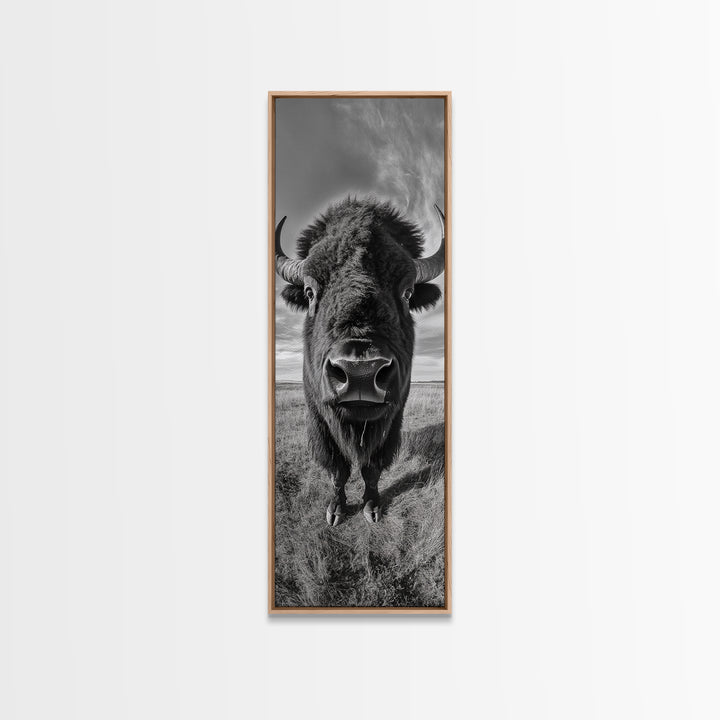 Majestic Bison Close-Up, Framed Canvas Print, rustic wall art, cowboy home décor, wildlife photography, farmhouse art, black and white photography