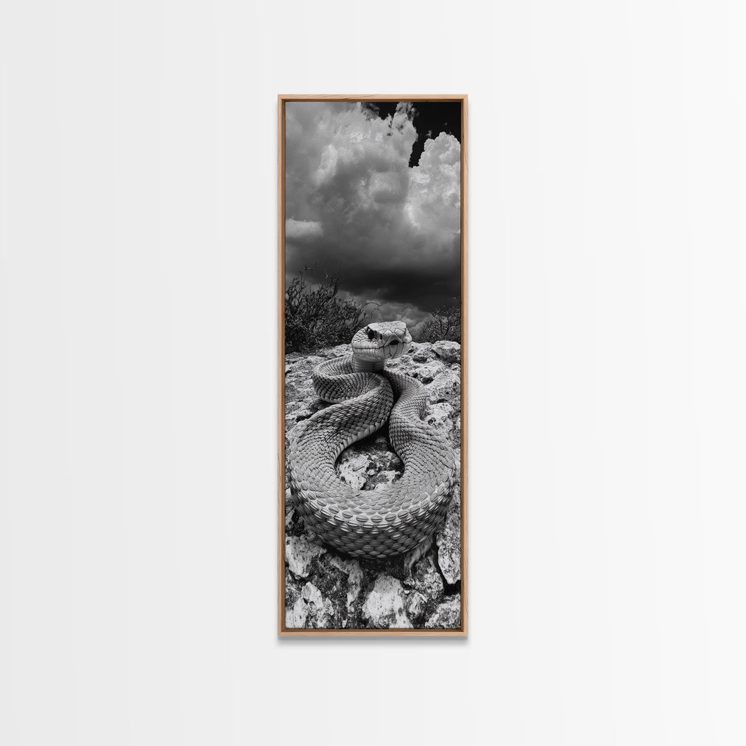 Rattlesnake Desert Art, Framed Canvas Print, southwest wall art, rustic decor, moody art, wildlife photography, cowboy aesthetic, gift idea