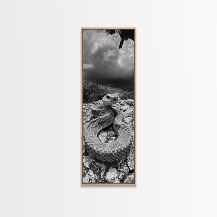 Rattlesnake Desert Art, Framed Canvas Print, southwest wall art, rustic decor, moody art, wildlife photography, cowboy aesthetic, gift idea