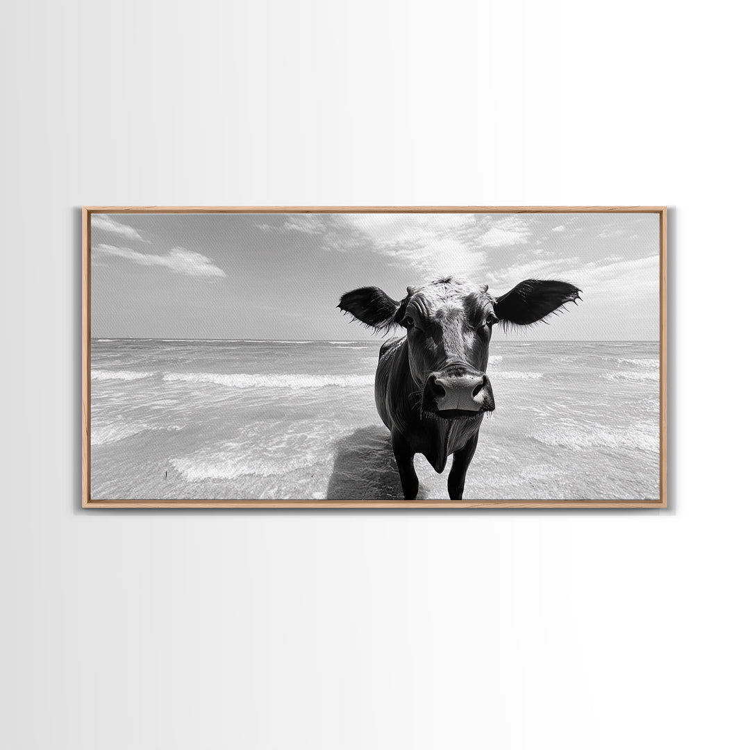 Curious Beach Cow, coastal wall art, cow painting, whimsical art, black and white photography, farmhouse decor, seascape painting, Canvas Print