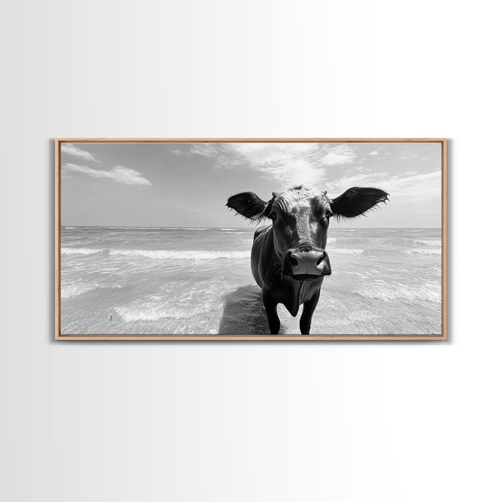 Curious Beach Cow, coastal wall art, cow painting, whimsical art, black and white photography, farmhouse decor, seascape painting, Canvas Print