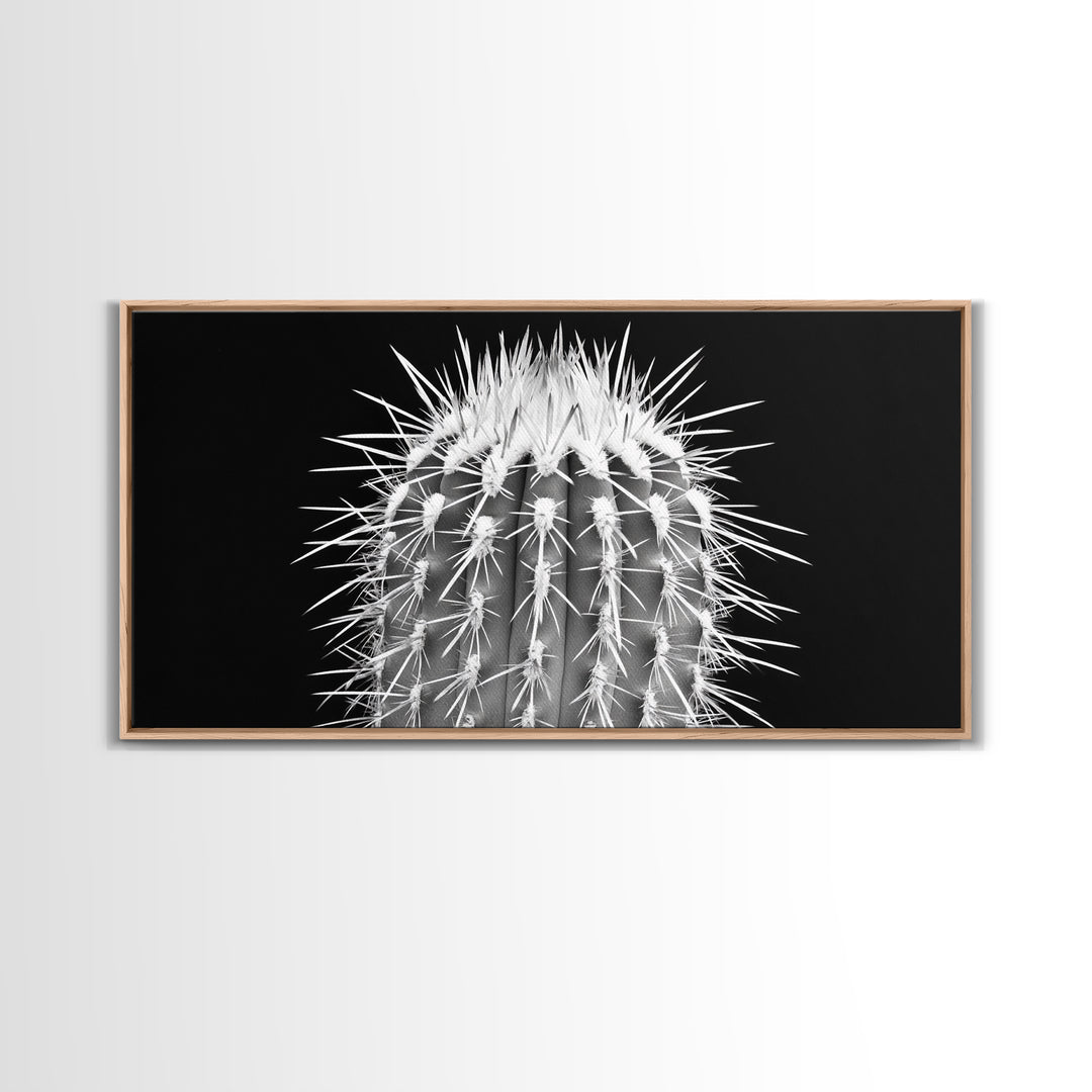 Cactus Spines, southwest wall art, desert art, botanical prints, geometric wall art, nature photography, sharp contrast, Framed Canvas Print