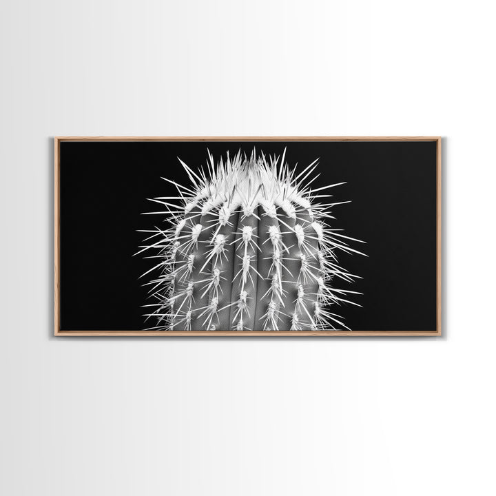 Cactus Spines, southwest wall art, desert art, botanical prints, geometric wall art, nature photography, sharp contrast, Framed Canvas Print