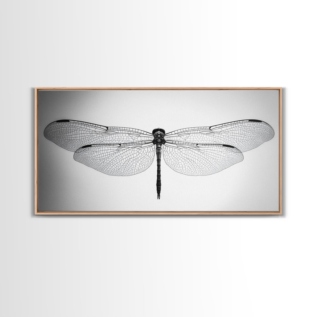 Dragonfly, line art, minimalist art, black and white art, nature painting, botanical prints, extra wide art, framed canvas print