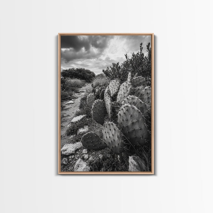 Cactus Trail, southwest wall art, rustic decor, desert painting, wabi sabi art, nature landscape art, framed canvas print, farmhouse decor