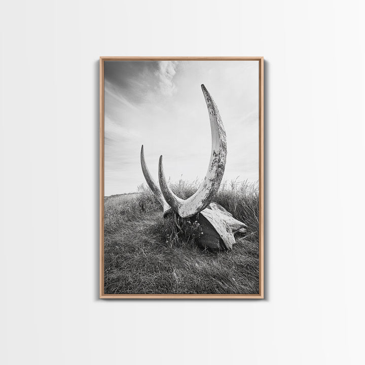 Large horns, rustic skull, bull and bear art, moody wall art, desert decor, cowboy aesthetic, framed canvas print, minimalist art
