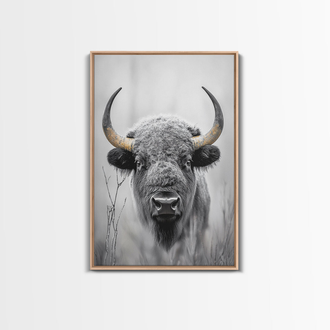 Bison, buffalo art, wildlife painting, framed canvas print, rustic decor, western wall art, moody nature, farmhouse animal art, southwest