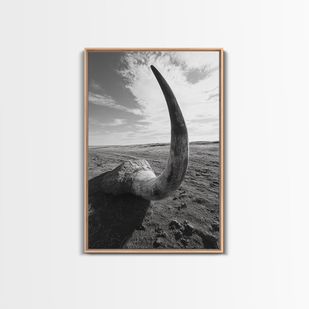 Lone Horn, desert minimalism, rustic western art, wabi sabi decor, moody photography, framed canvas print, black and white, southwest art