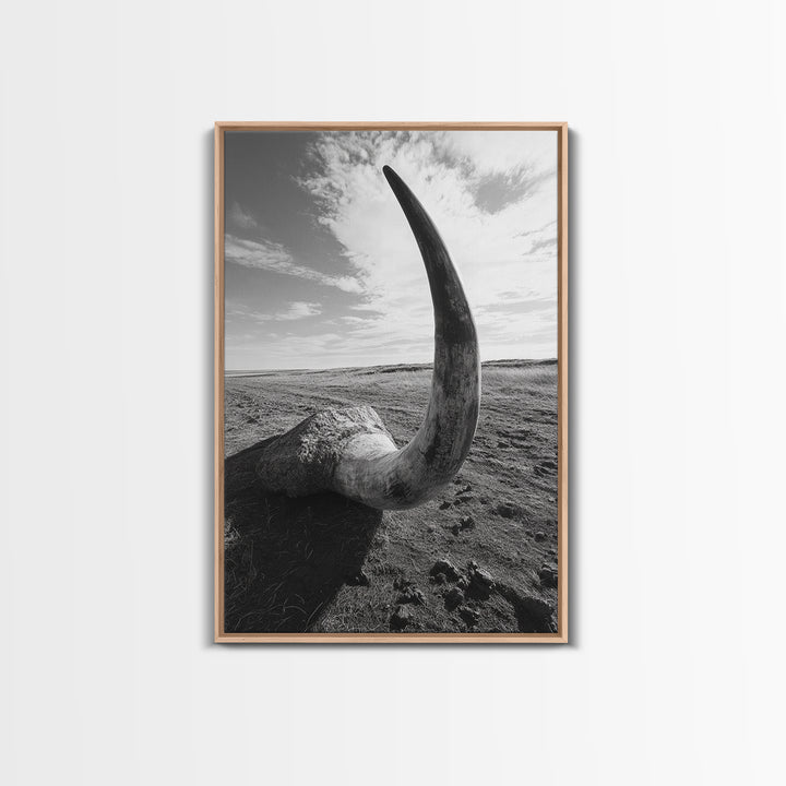 Lone Horn, desert minimalism, rustic western art, wabi sabi decor, moody photography, framed canvas print, black and white, southwest art