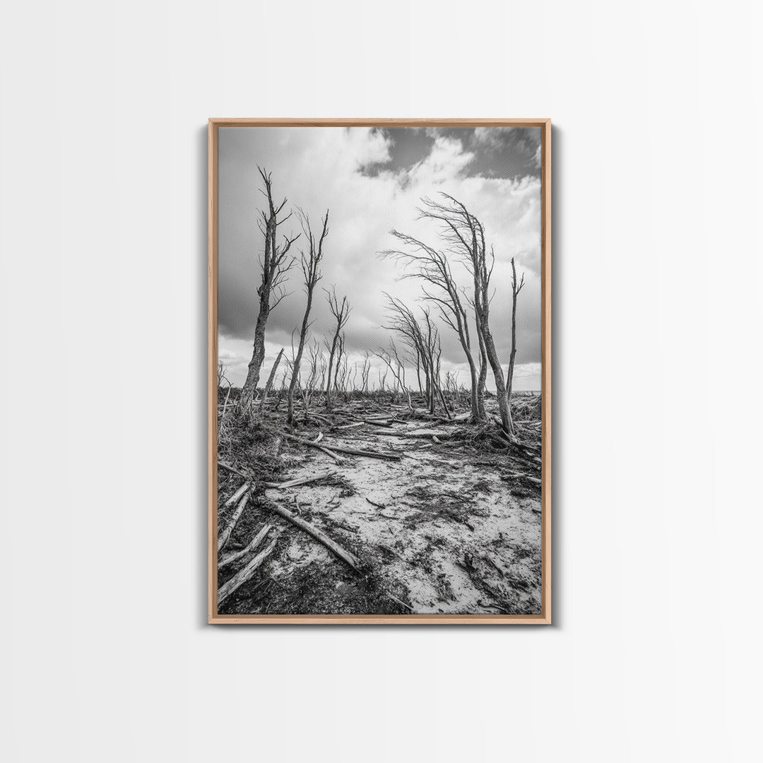 Windblown Trees, stormy sky, moody landscape, wabi sabi art, black and white, framed canvas print, rustic decor, nature photography
