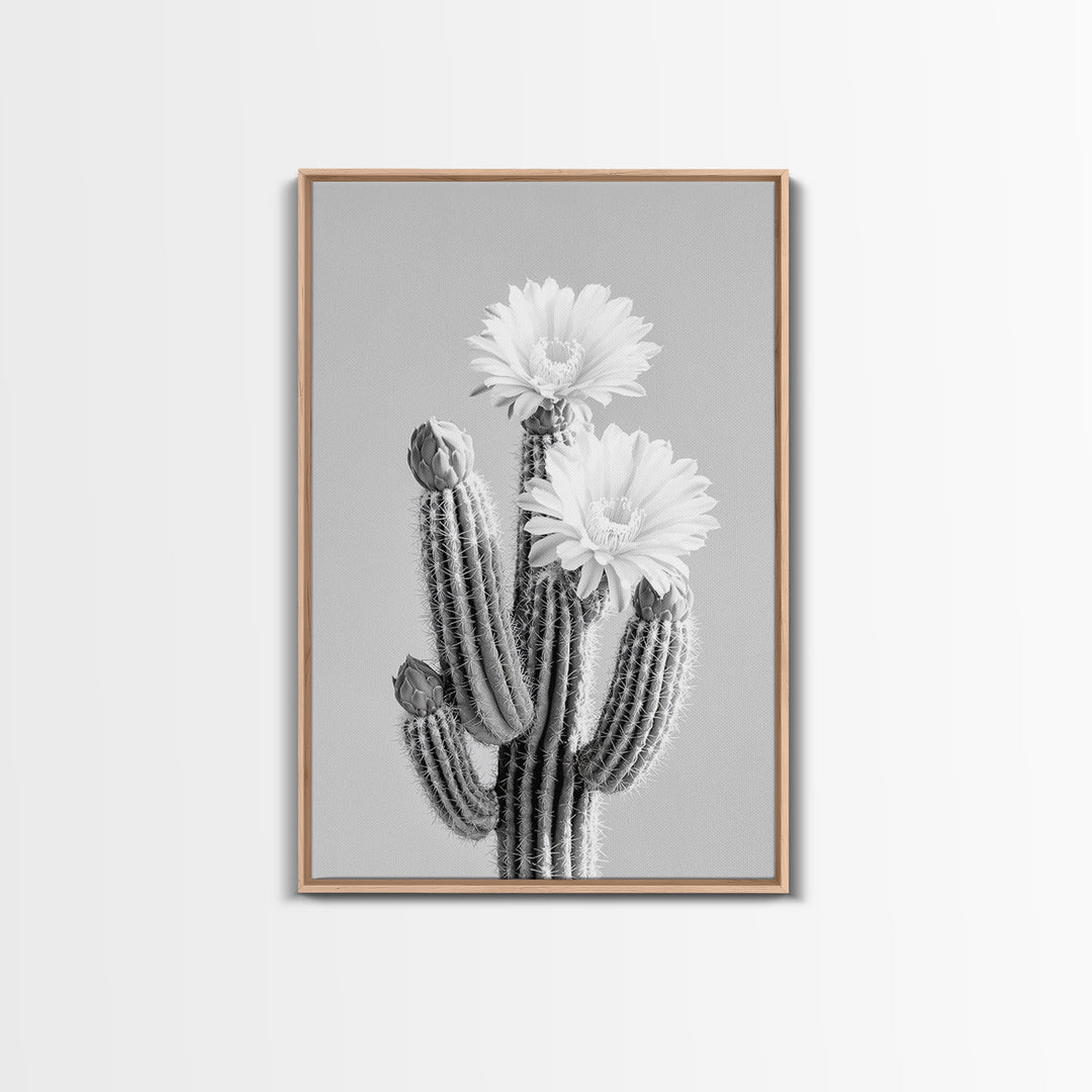 Cactus Bloom, desert botanical, minimalist art, black and white, southwest wall art, framed canvas print, vertical wall art, moody art