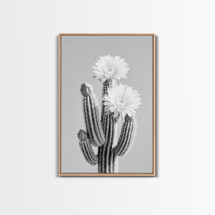 Cactus Bloom, desert botanical, minimalist art, black and white, southwest wall art, framed canvas print, vertical wall art, moody art