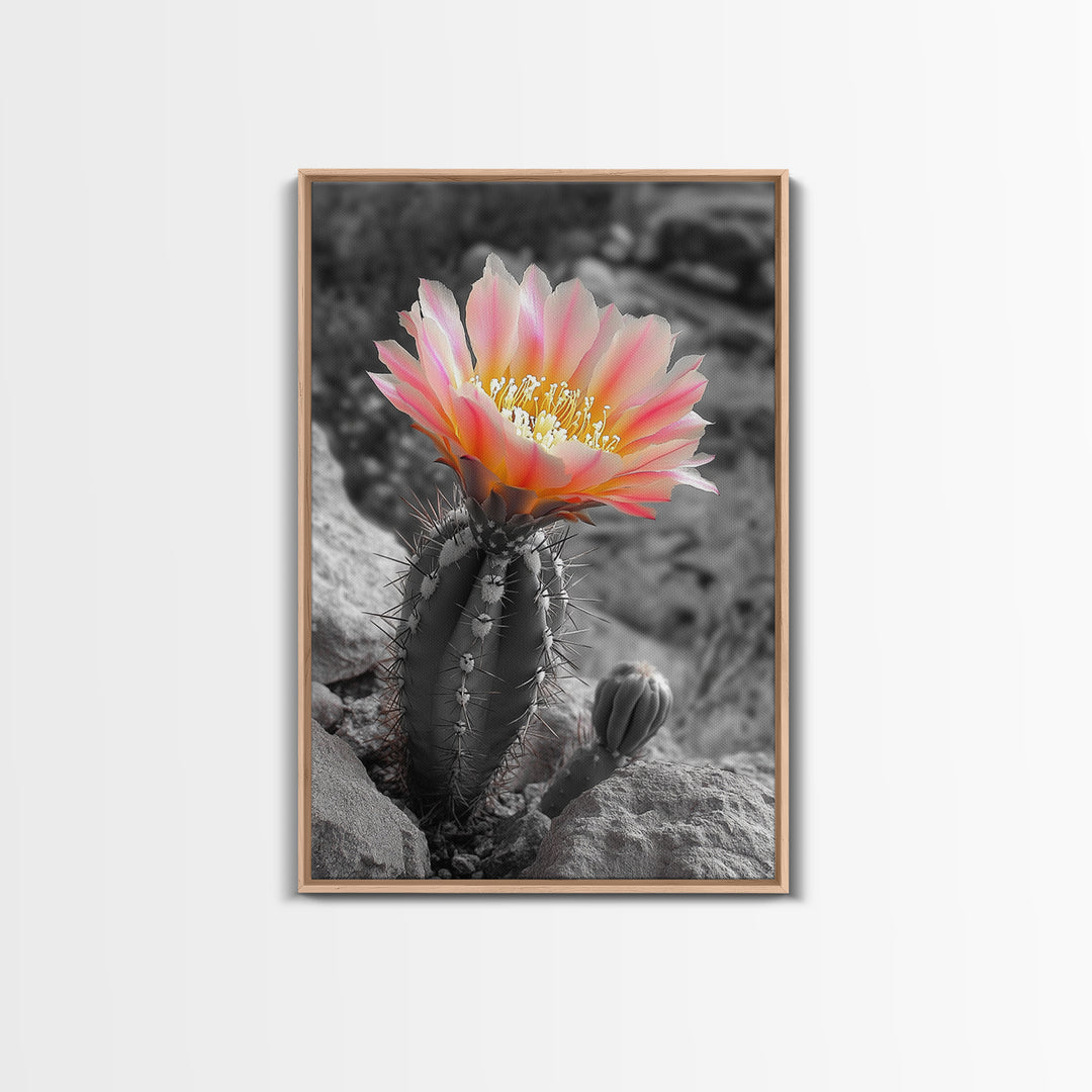 Blooming cactus, botanical print, desert flora, framed canvas print, nature decor, succulent wall art, pink flowers, southwest painting