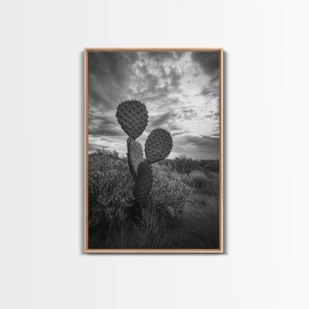 Prickly Pear, cactus art, Joshua tree art, wabi sabi art, moody art, black and white, framed canvas print, minimalist decor, rustic wall art