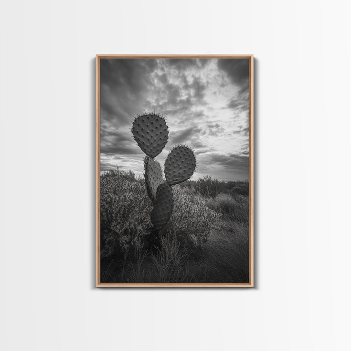 Prickly Pear, cactus art, Joshua tree art, wabi sabi art, moody art, black and white, framed canvas print, minimalist decor, rustic wall art
