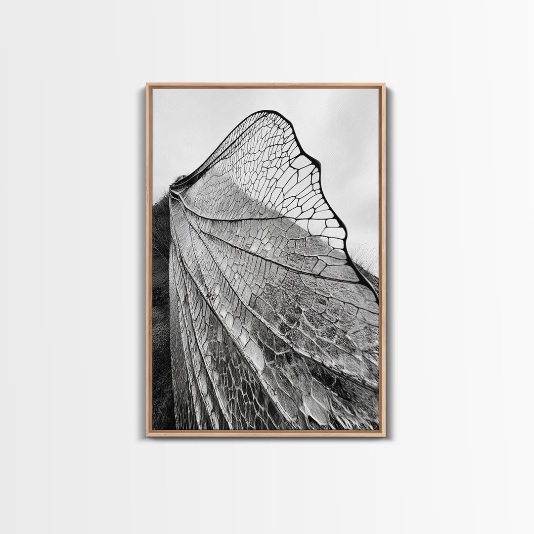 Dragonfly Wing, nature photography, moody art, wabi sabi art, minimalist art, botanical prints, framed canvas print, rustic wall art