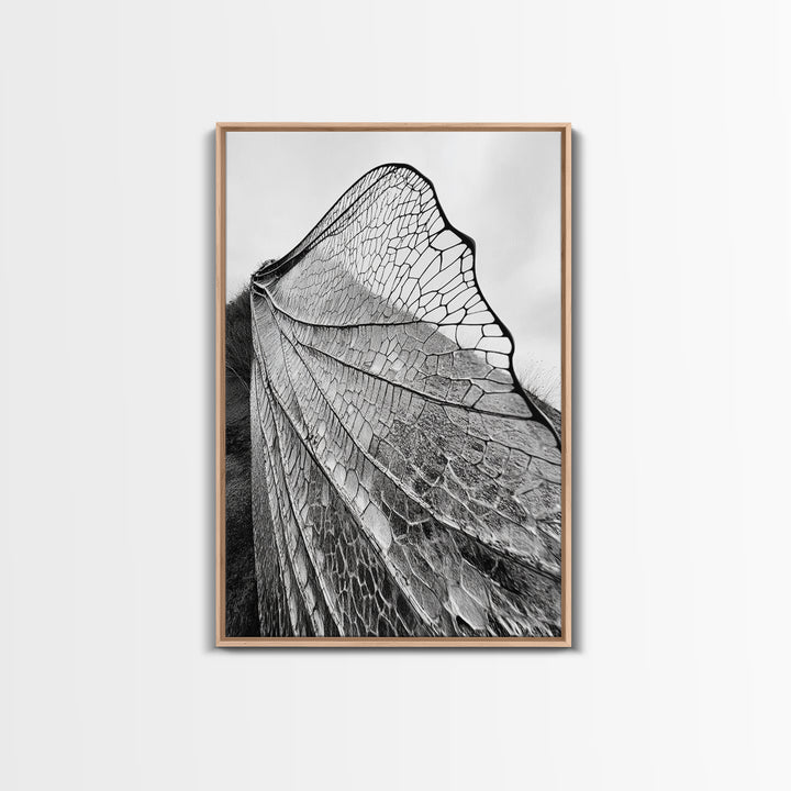 Dragonfly Wing, nature photography, moody art, wabi sabi art, minimalist art, botanical prints, framed canvas print, rustic wall art