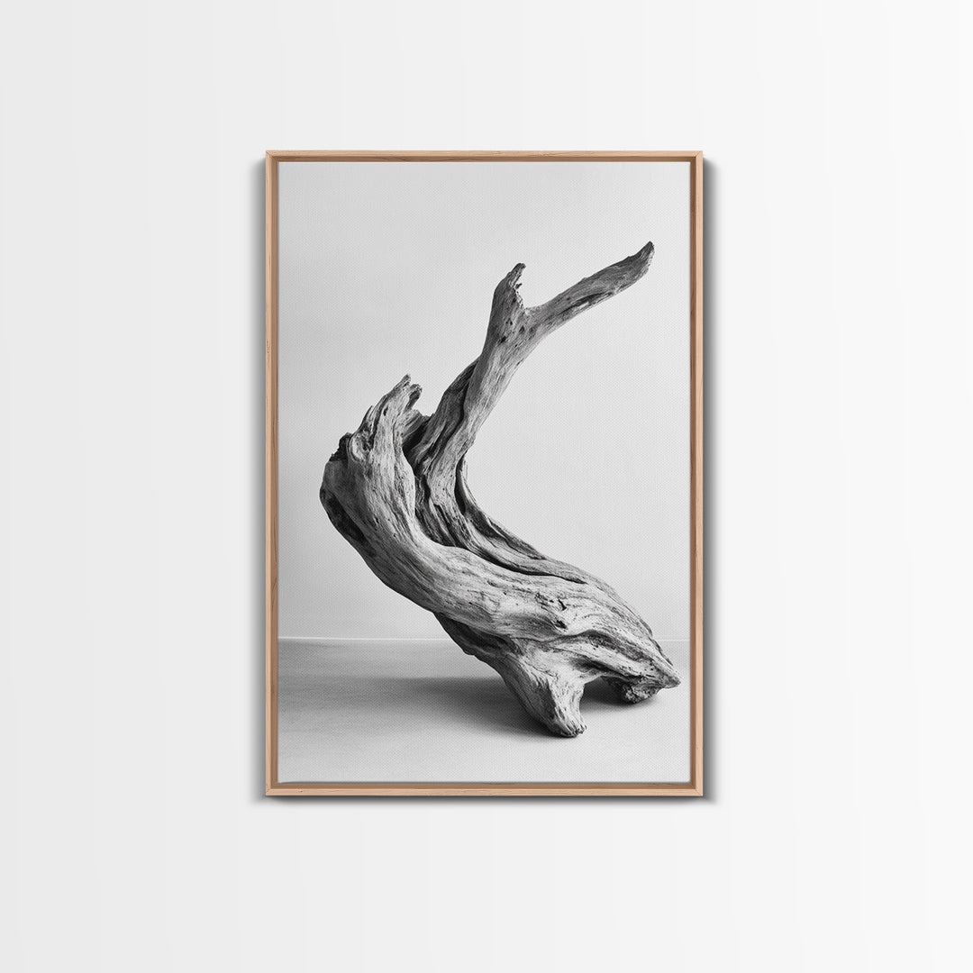 Driftwood Sculpture, wabi sabi art, rustic decor, minimalist art, botanical prints, farmhouse art, framed canvas print, living room art