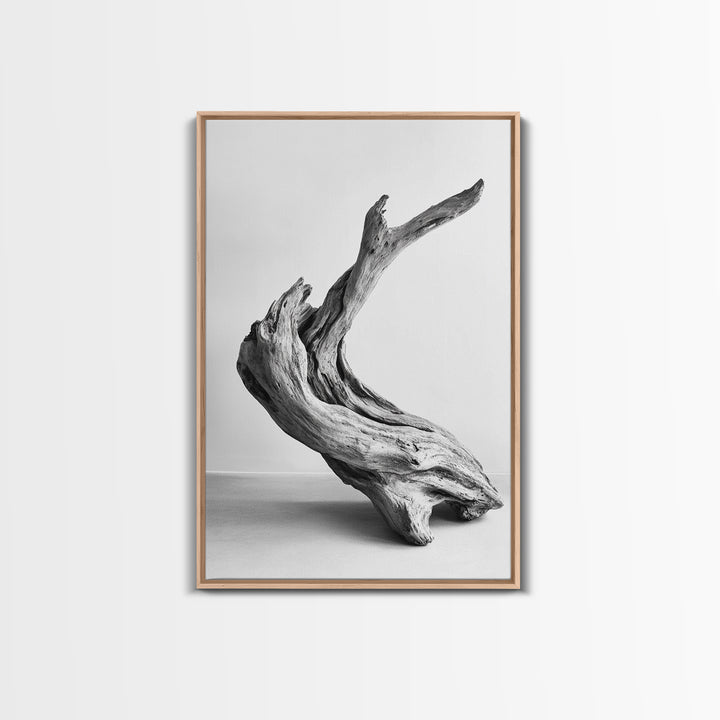 Driftwood Sculpture, wabi sabi art, rustic decor, minimalist art, botanical prints, farmhouse art, framed canvas print, living room art
