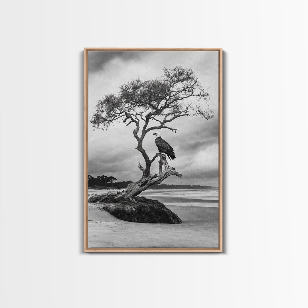 Bald eagle, nature wall art, moody art, wildlife photography, tree art, black and white art, above bed wall art, framed canvas print