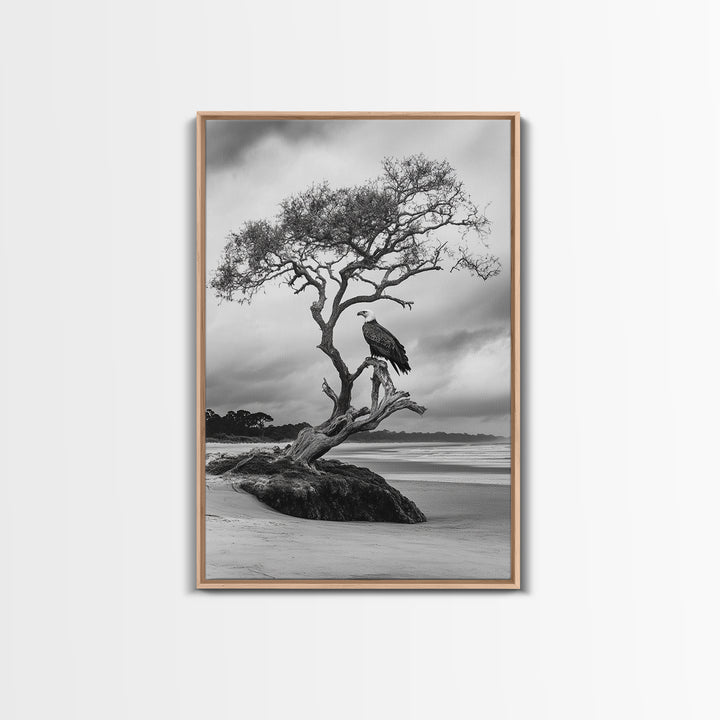Bald eagle, nature wall art, moody art, wildlife photography, tree art, black and white art, above bed wall art, framed canvas print