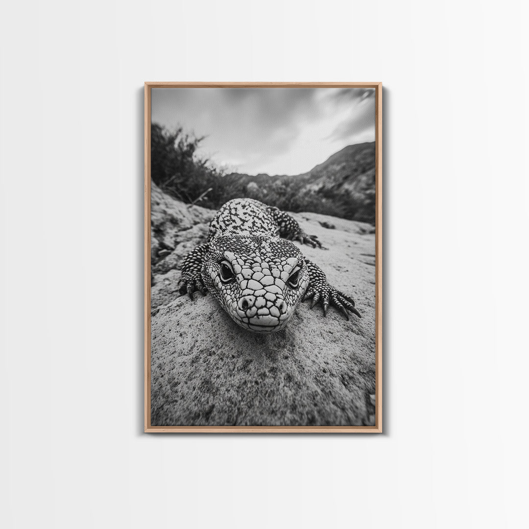 Lizard art, wildlife photography, moody art, desert decor, black and white photography, wabi sabi wall art, framed canvas print, unique gift