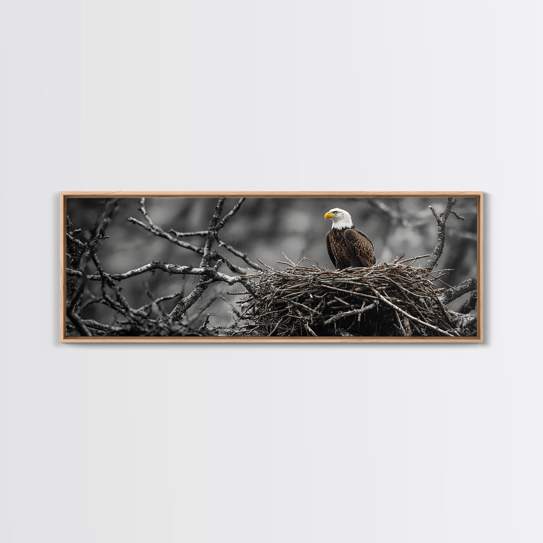 Bald Eagle, Nature Wall Art, Rustic Art, Wildlife Photography, Bird Art, Above Sofa Art, Panoramic Art, Framed Canvas Print