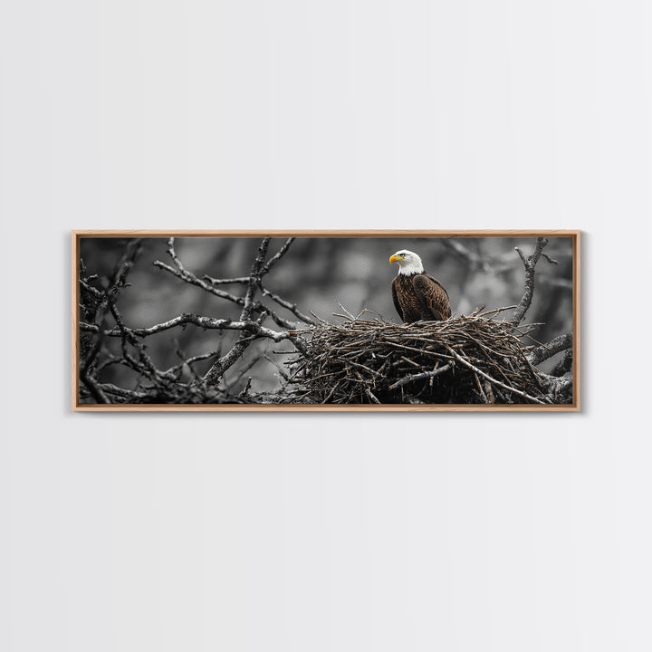 Bald Eagle, Nature Wall Art, Rustic Art, Wildlife Photography, Bird Art, Above Sofa Art, Panoramic Art, Framed Canvas Print