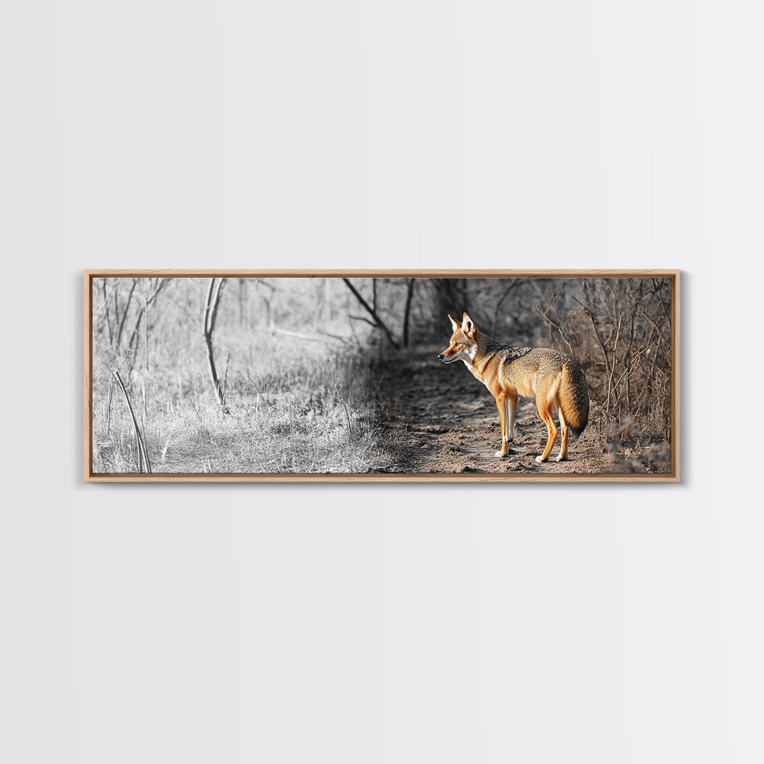 Coyote in Forest, Wildlife Wall Art, Rustic Decor, Nature Art, Moody Art, Extra Wide Art, Panoramic Art, Framed Canvas Print