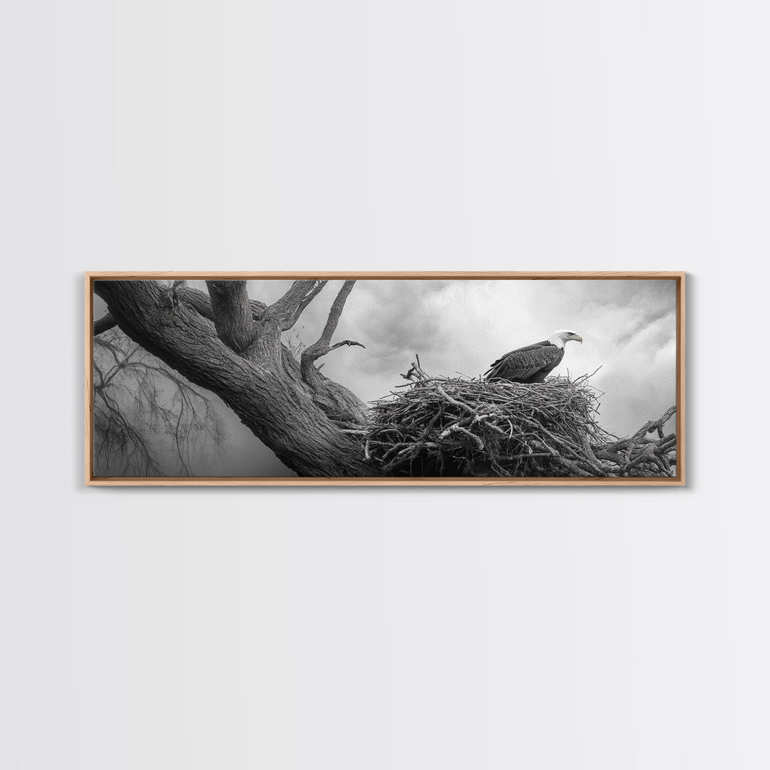 Bald Eagle Nest, Wildlife Art, Nature Photography, Moody Art, Rustic Decor, Horizontal Wall Art, Framed Canvas Print, Bedroom Art