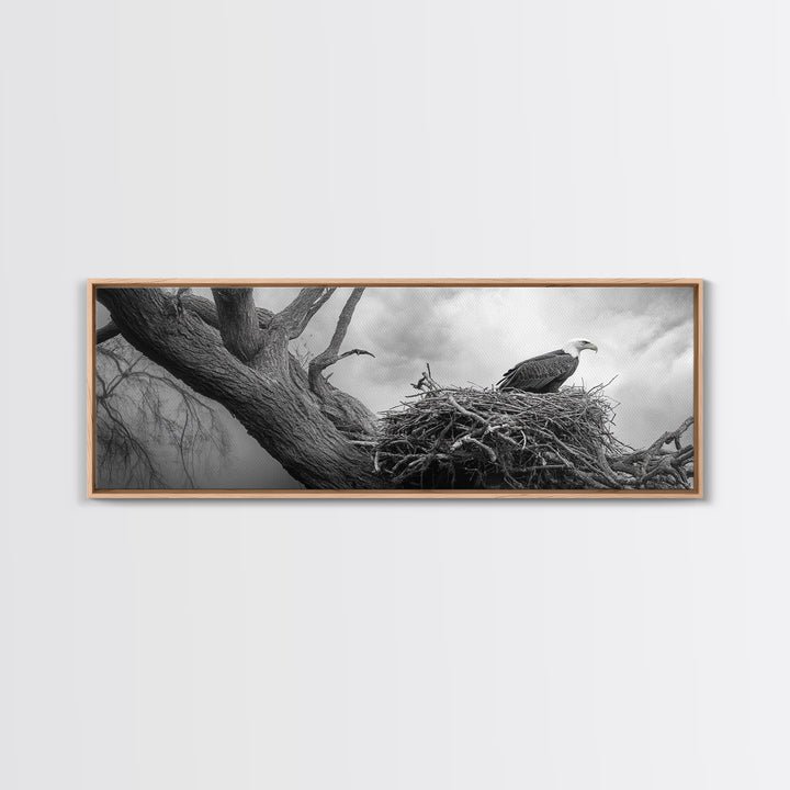 Bald Eagle Nest, Wildlife Art, Nature Photography, Moody Art, Rustic Decor, Horizontal Wall Art, Framed Canvas Print, Bedroom Art
