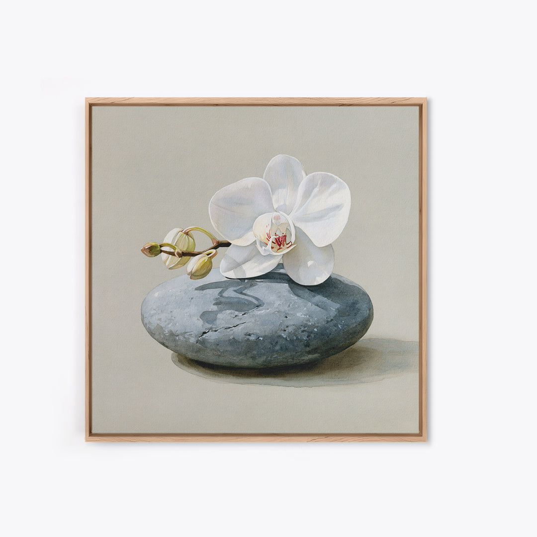 White Orchid on Smooth Gray Stone Canvas Print, Spa Art, Tarot Card Art, Spa Decor, Fine Art, Serenity, Textured Painting, SPA-1x1-26