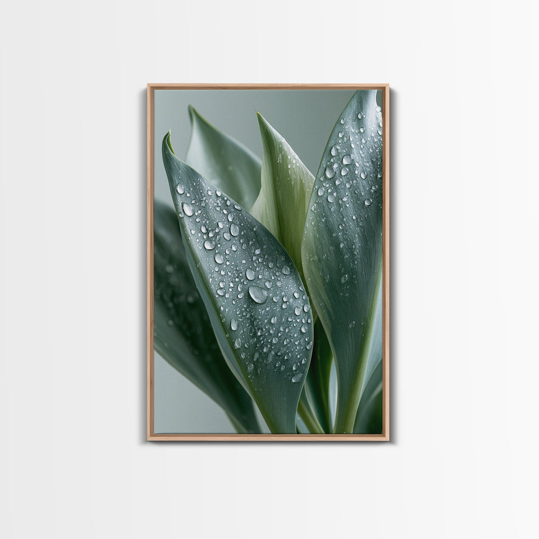 Rain on Leaves Framed Canvas Print, Spa Art, Modern Decor, Spa Decor, Fine Art, Serenity, Wall Decor, Printable Wall Art, SPA-2x3-24