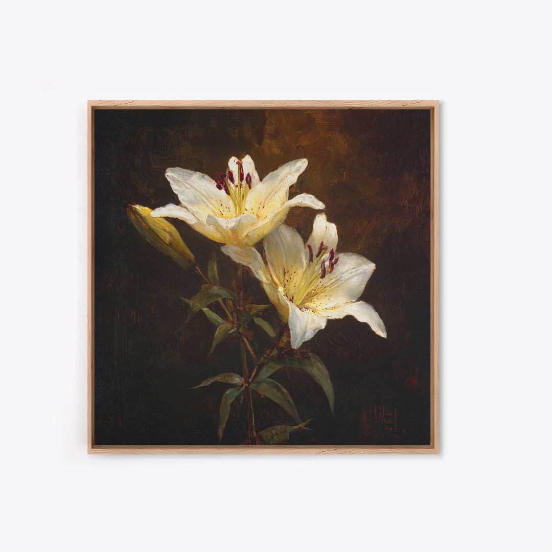 White Lilies on Dark Background Canvas Print, Traditional Art, Digital Print, Living Room Decor, Oil Painting, Classic, TRA-1x1-15