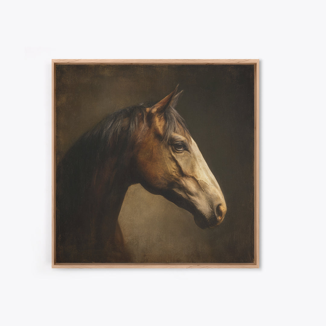 Realistic Horse Portrait Framed Canvas Print, Traditional Art, Art Commissions, Living Room Decor, Fine Art, Classic, TRA-1x1-27