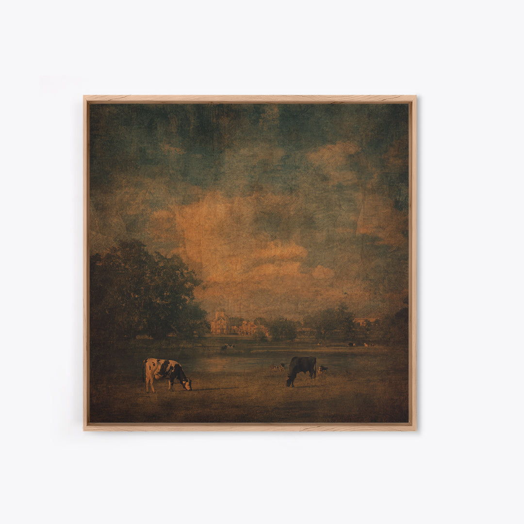Pastoral Countryside with Cows in Field Framed Canvas Print, Traditional Art, Artwork, Living Room Decor, Fine Art, Classic, TRA-1x1-7