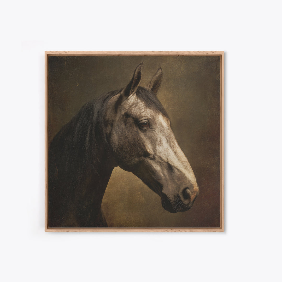 Realistic Horse Portrait Canvas Print, Traditional Art, Art, Living Room Decor, Classic, Printable Art, Art Commissions, TRA-1x1-99