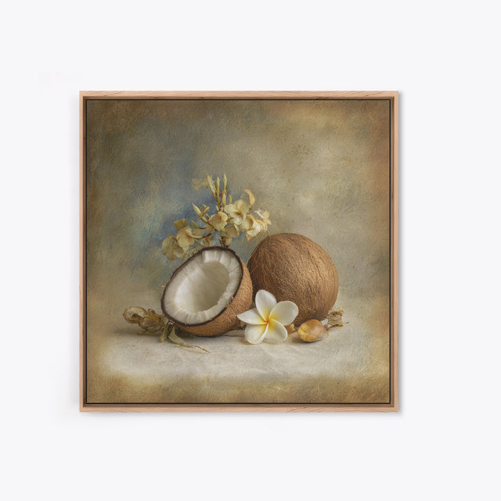 Coconut and Plumeria Still Life Framed Canvas Print, Tropical Art, Decor, Living Room Decor, Fine Art, Tropic, Bird Art, TRO-1x1-12