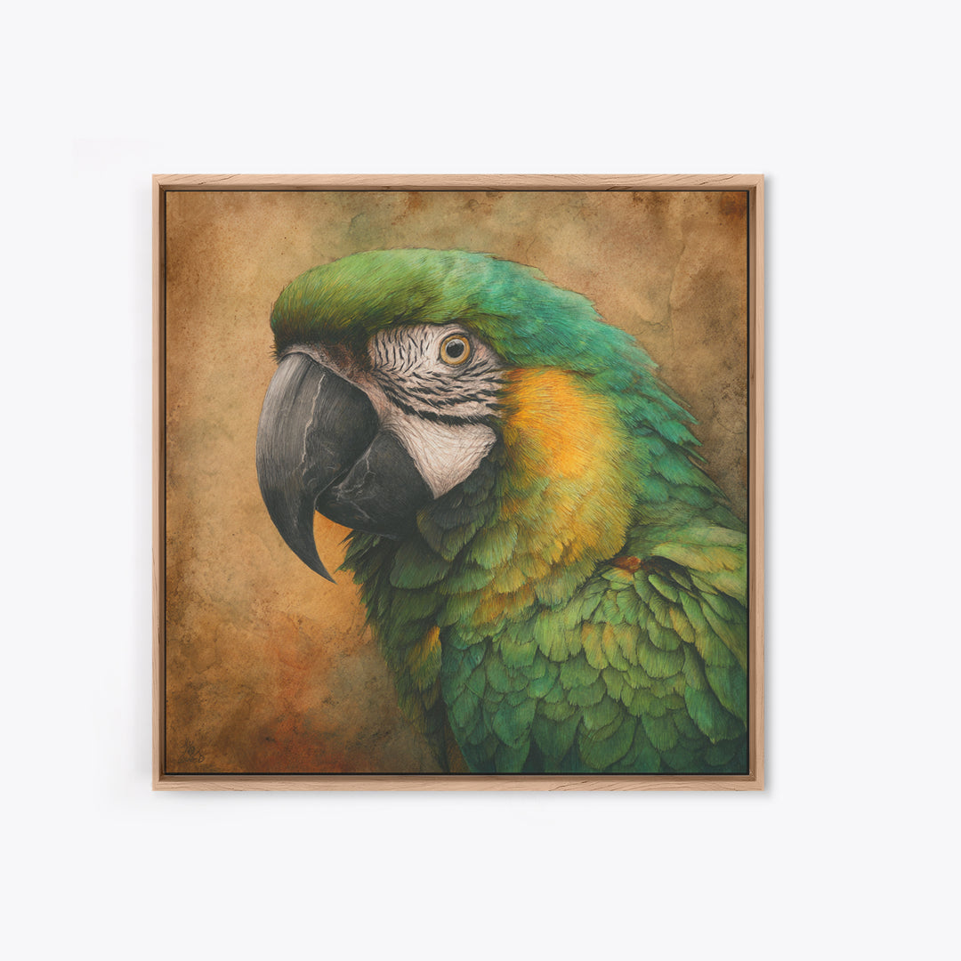 Parrot Portrait with Emerald Feathers Framed Canvas Print, Tropical Art, Gallery Decor, Living Room Decor, Fine Art, Tropic, TRO-1x1-32