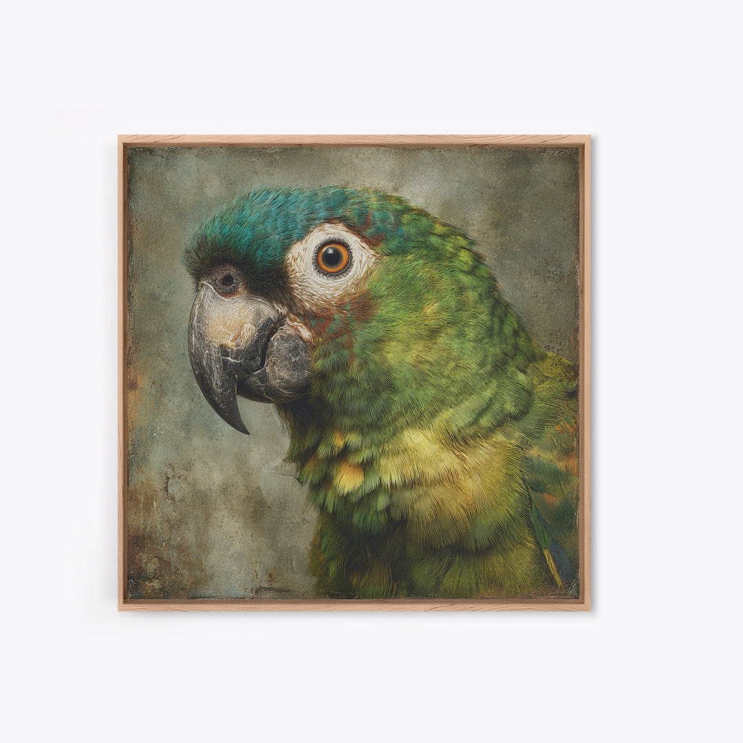 Parrot Portrait with Emerald Feathers Framed Canvas Print, Tropical Art, Digital Print, Living Room Decor, Fine Art, Tropic, TRO-1x1-56