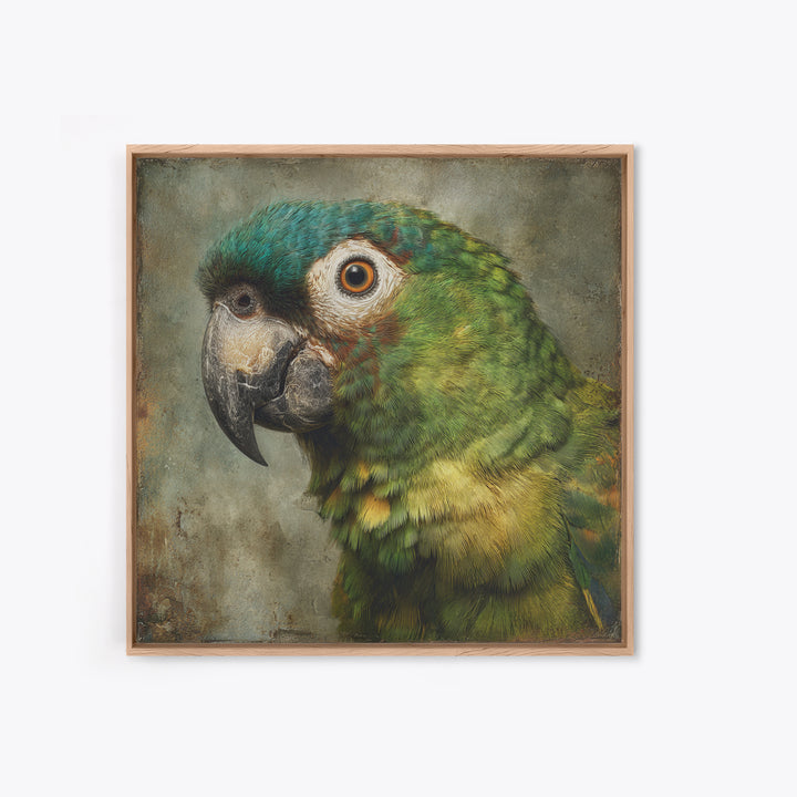 Parrot Portrait with Emerald Feathers Framed Canvas Print, Tropical Art, Digital Print, Living Room Decor, Fine Art, Tropic, TRO-1x1-56