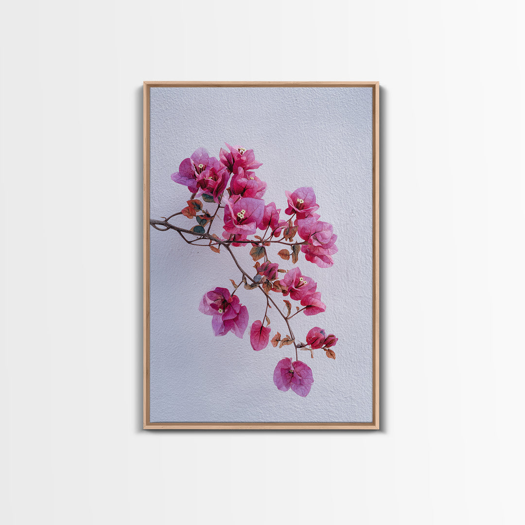 Pink Bougainvillea over White Wall Framed Canvas Print, Tropical Art, Modern Decor, Living Room Decor, Fine Art, Tropic, TRO-2x3-24