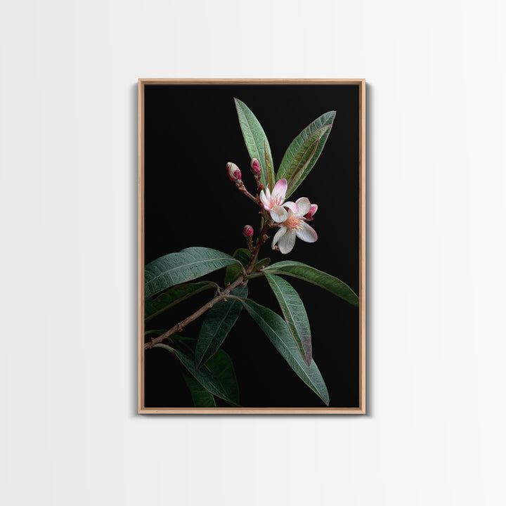 Mango Branch with Leaves and Flowers Framed Canvas Print, Tropical Art, Living Room Decor, Watercolor Art, Tropic, TRO-2x3-98