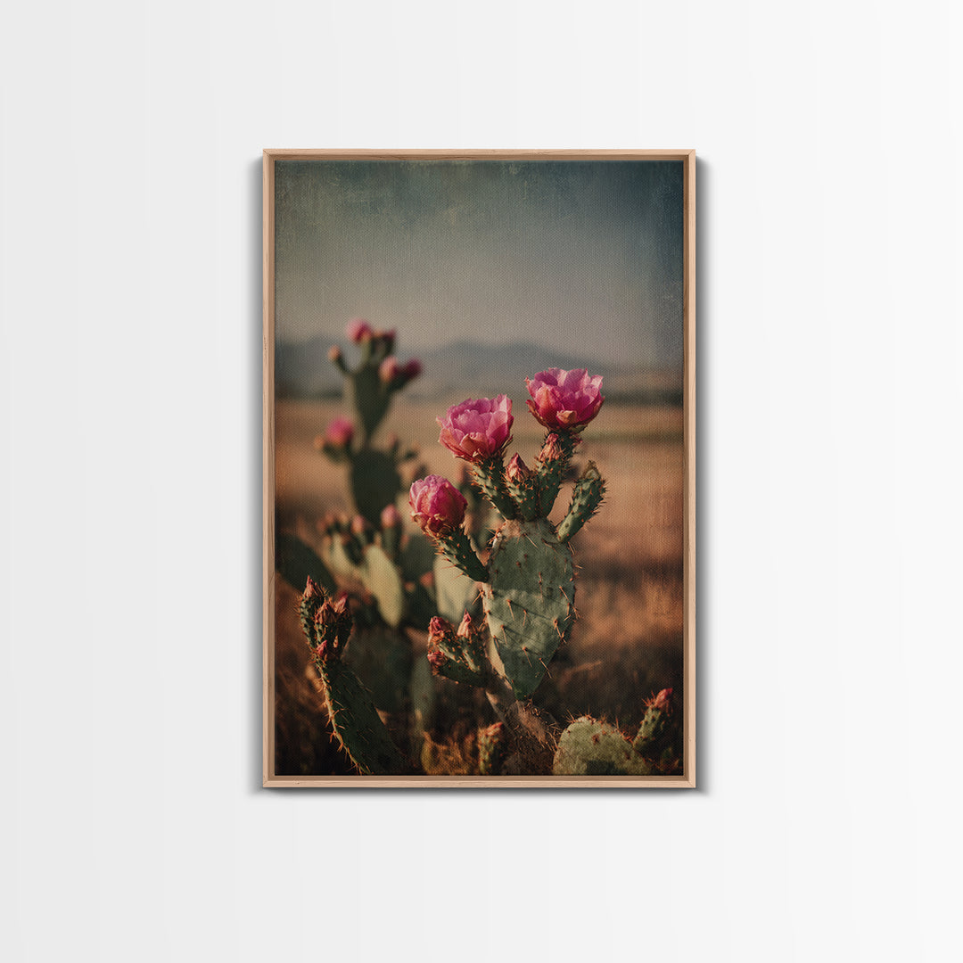 Prickly Pear Cactus Framed Canvas Print, Western Art, Modern Decor, Southwestern Decor, Fine Art, Frontier, Wall Decor, WES-2x3-24