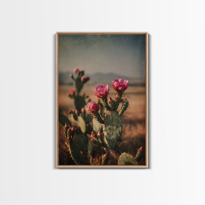 Prickly Pear Cactus Framed Canvas Print, Western Art, Modern Decor, Southwestern Decor, Fine Art, Frontier, Wall Decor, WES-2x3-24